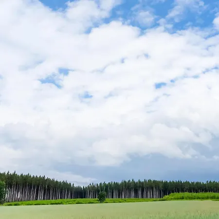 Holiday home Beautiful Holiday Home With Sauna In Houffalize